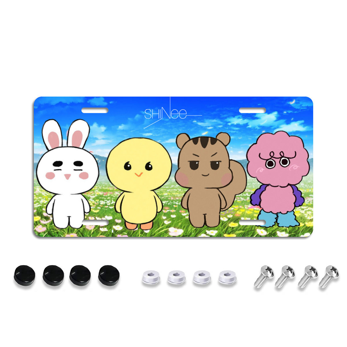SHINee Vanity Plate for your car -Car accessories