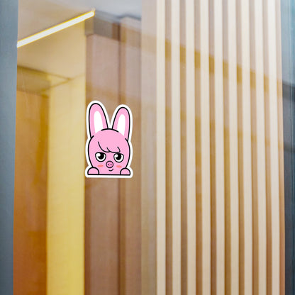 Stray Kids Skzoo Chanbin - Dwaekki Stickers - Decals - Water & UV Proof!