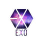 EXO EXO-L Colorful Vinyl Decals, Fun Stickers - Water, UV and Scratch Resistant!