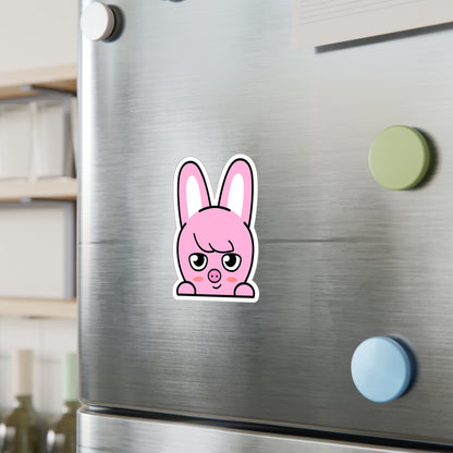 Stray Kids Skzoo Chanbin - Dwaekki Stickers - Decals - Water & UV Proof!