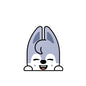 Stray Kids Skzoo Bangchan - Wolf-Chan Stickers - Decals - Water & UV Proof!