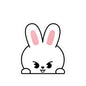Stray Kids Skzoo Lee Know - Leebit Stickers - Decals - Water & UV Proof!