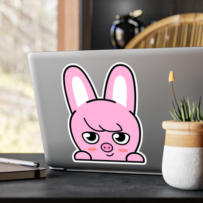 Stray Kids Skzoo Chanbin - Dwaekki Stickers - Decals - Water & UV Proof!