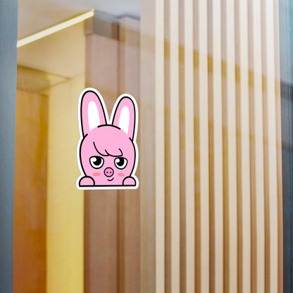 Stray Kids Skzoo Chanbin - Dwaekki Stickers - Decals - Water & UV Proof!