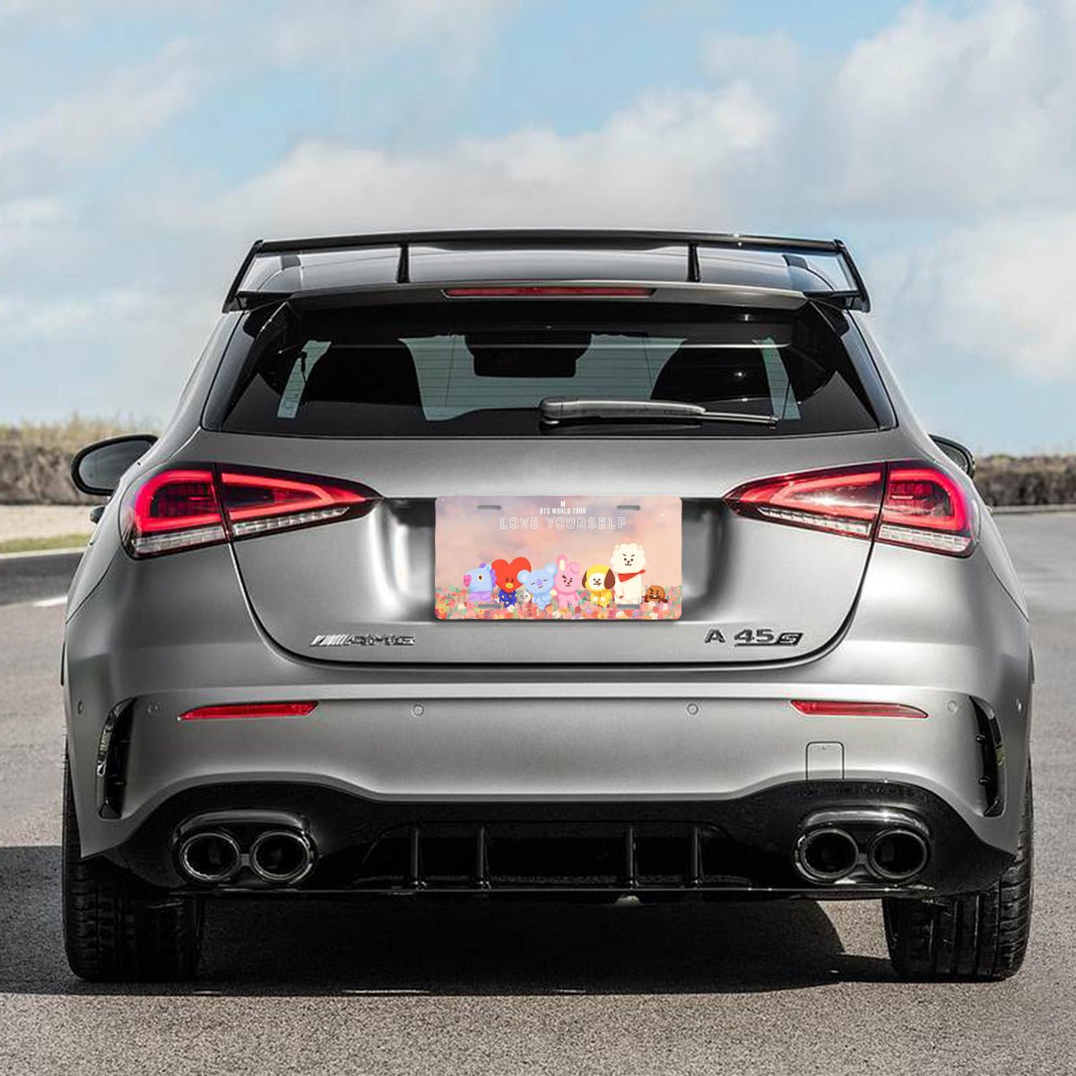 BTS Bt21 Love Yourself World Tour Vanity Plate - BTS License Plate Frame - Army Bangtan car accessories - BTS vanity plate - BT21 vanity - Beyond The Shoppe