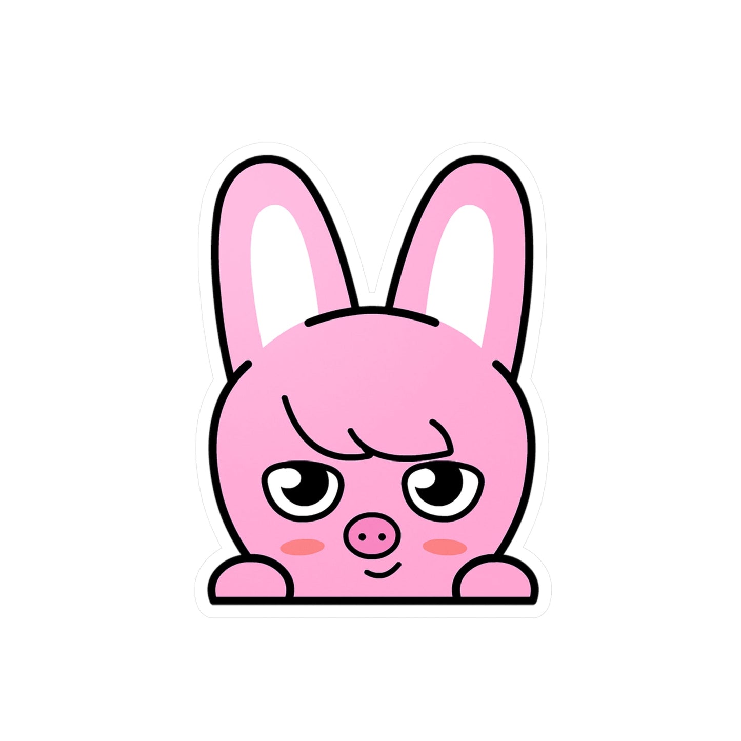 Stray Kids Skzoo Chanbin - Dwaekki Stickers - Decals - Water & UV Proof! - Beyond The Shoppe