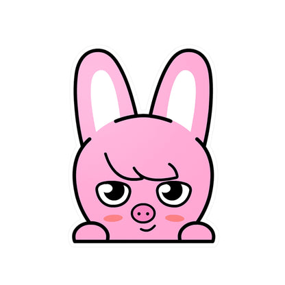 Stray Kids Skzoo Chanbin - Dwaekki Stickers - Decals - Water & UV Proof! - Beyond The Shoppe