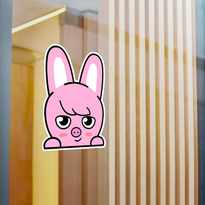 Stray Kids Skzoo Chanbin - Dwaekki Stickers - Decals - Water & UV Proof! - Beyond The Shoppe