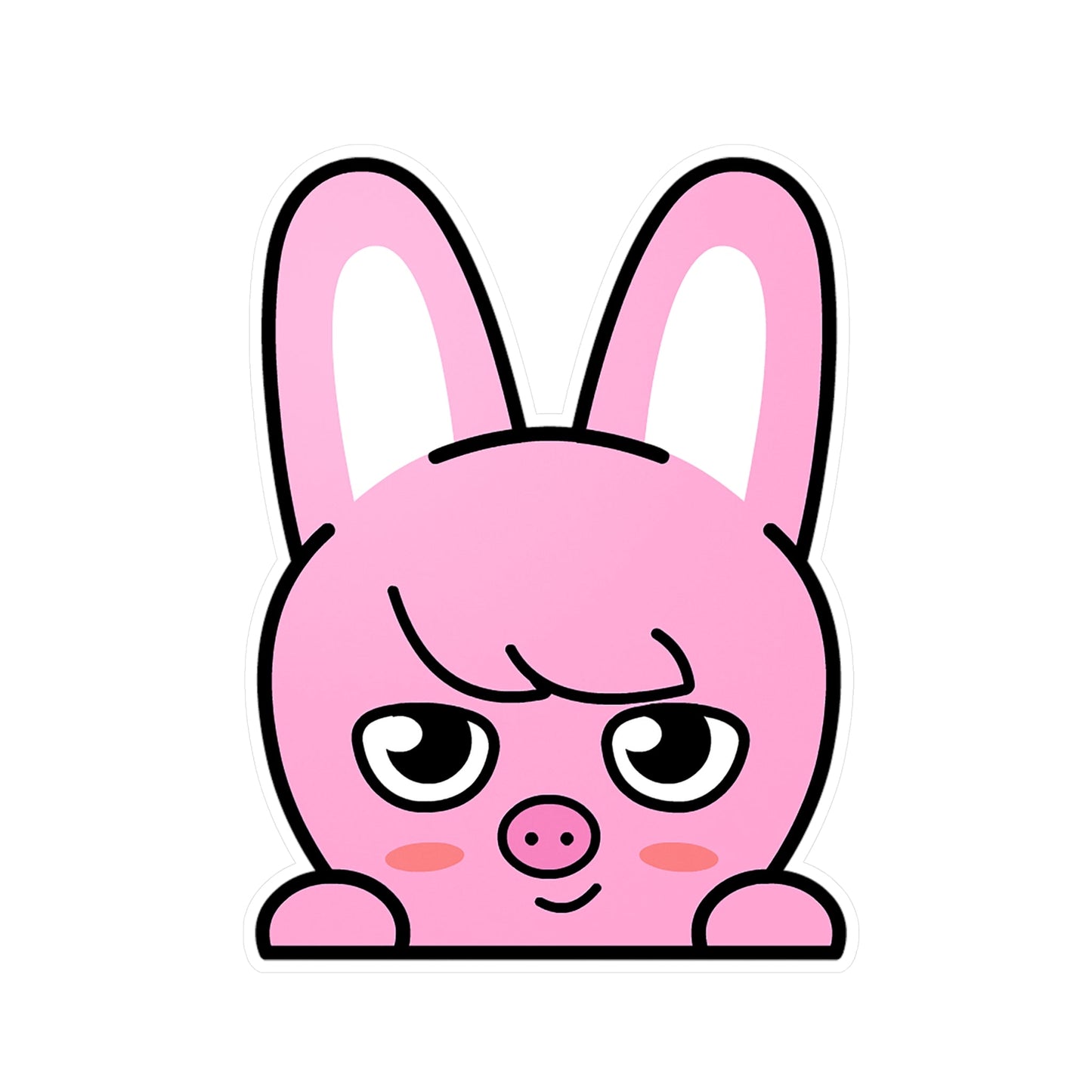 Stray Kids Skzoo Chanbin - Dwaekki Stickers - Decals - Water & UV Proof! - Beyond The Shoppe