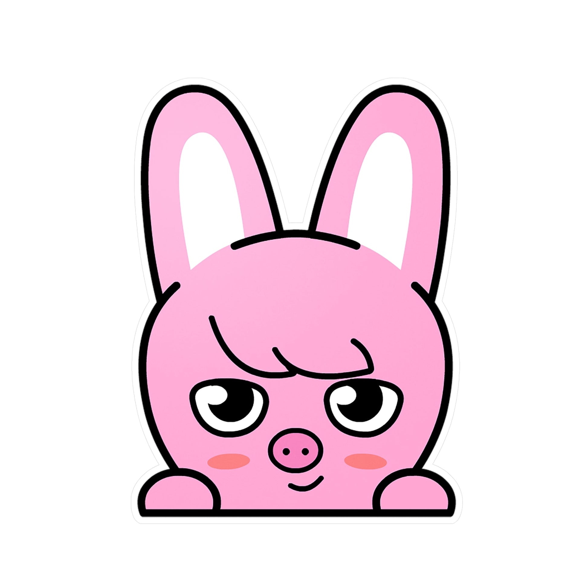 Stray Kids Skzoo Chanbin - Dwaekki Stickers - Decals - Water & UV Proof! - Beyond The Shoppe