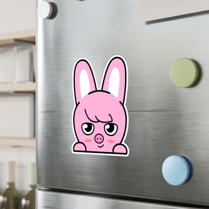 Stray Kids Skzoo Chanbin - Dwaekki Stickers - Decals - Water & UV Proof! - Beyond The Shoppe