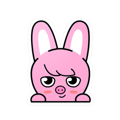 Stray Kids Skzoo Chanbin - Dwaekki Stickers - Decals - Water & UV Proof! - Beyond The Shoppe