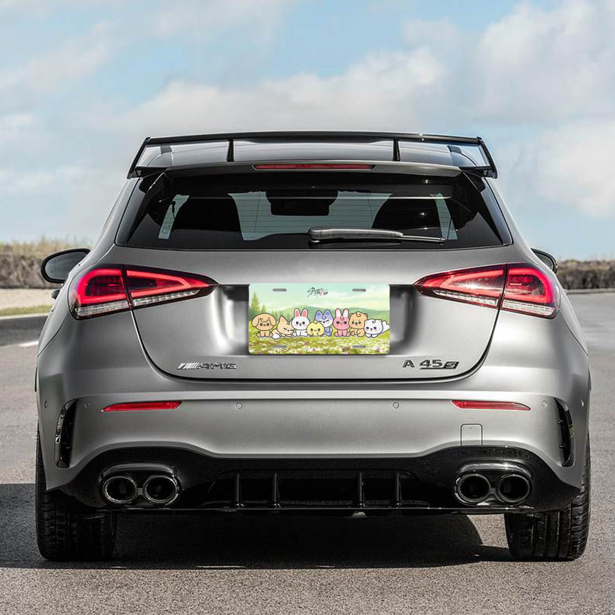Stray Kids Skzoo on Flowers - Vanity Plate for your car - Car accessories - Beyond The Shoppe